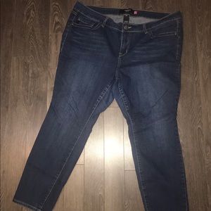 Torrid denim, 20xs